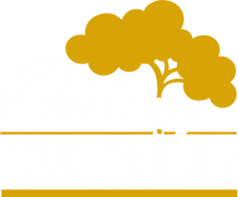 Cadbury World Logo